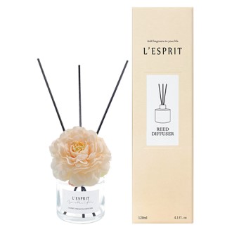 �����ڸ� ��ǻ�� ������ �ǿ��� 120ml