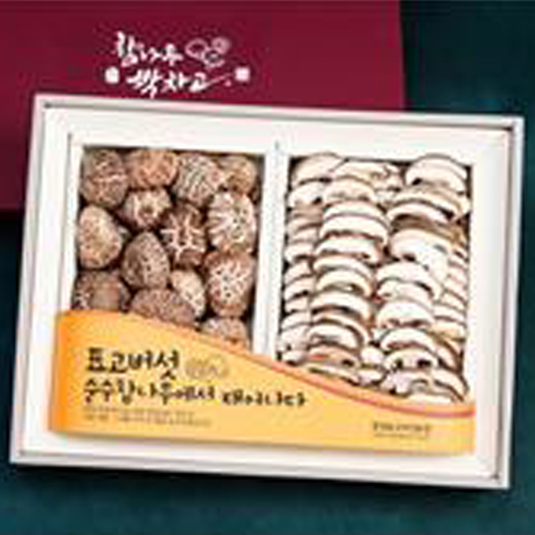 ������ ���� ǥ�� ���� ������Ʈ (��ȭ�� 2�� ��Ʈ) 